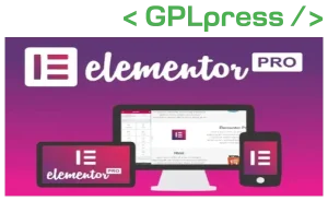 Elementor Pro – Live Page Builder For WordPress